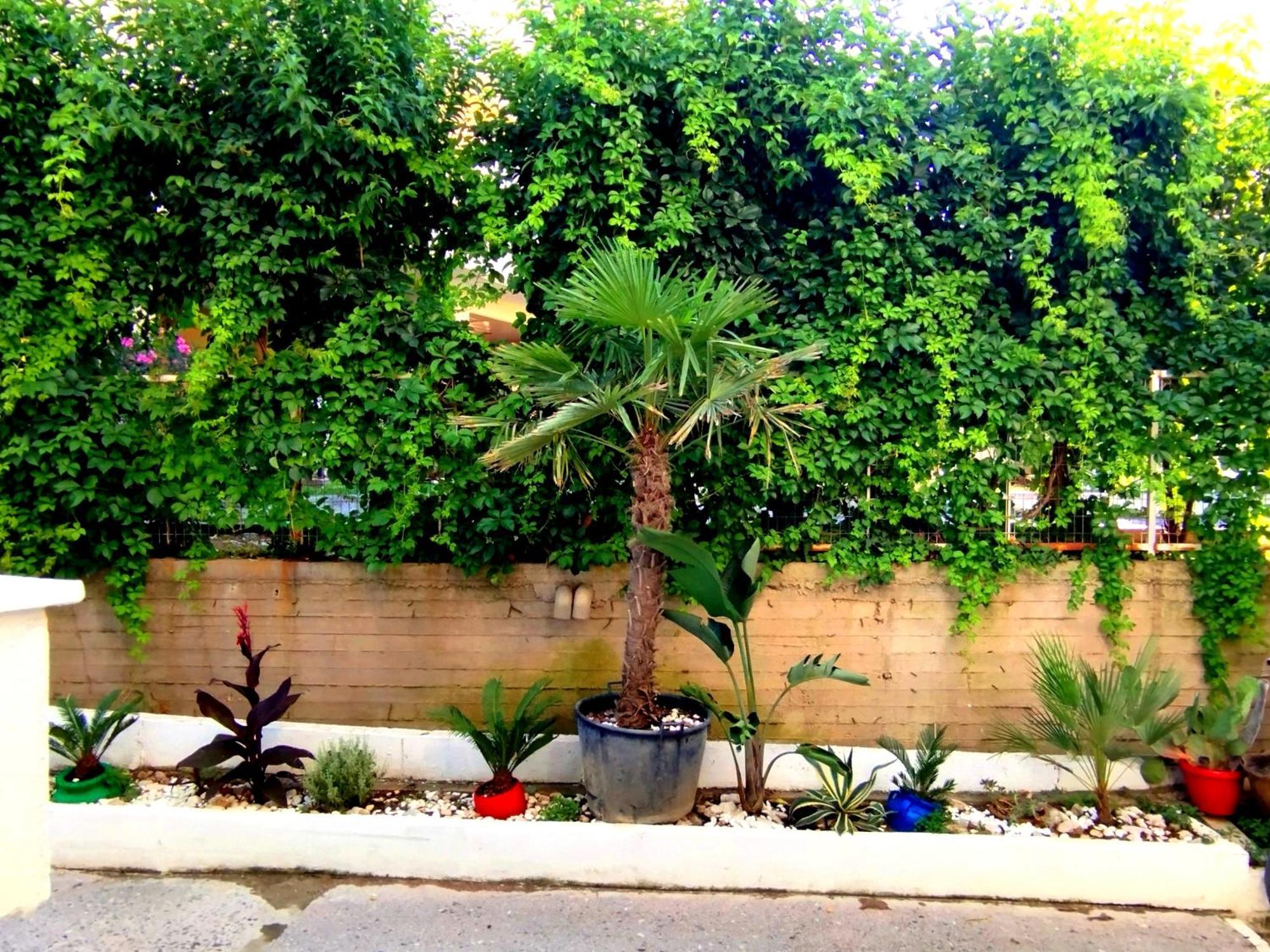 Antonia'S Cozy Apartment Agia Triada  Exterior photo